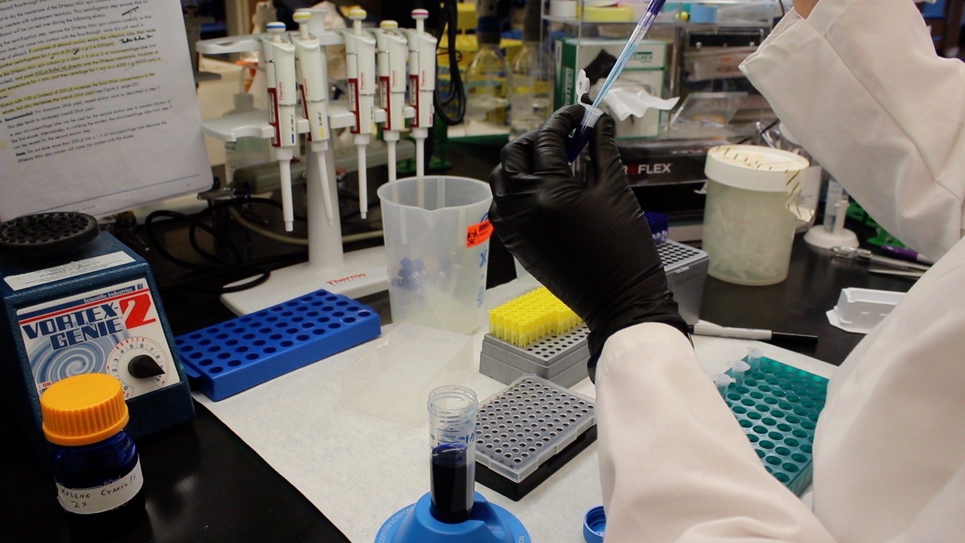 A researcher prepares a sample in the lab.